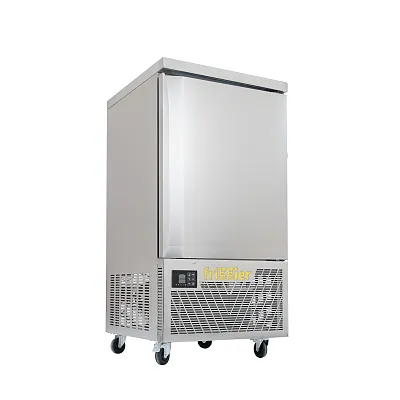 Морозильный шкаф шоковой заморозки 10SD-S-50 260 л