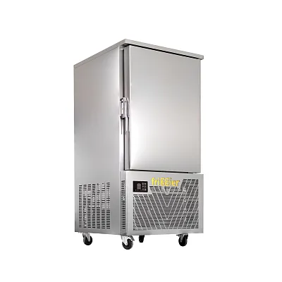 Морозильный шкаф шоковой заморозки 12SD-W-50 300 л