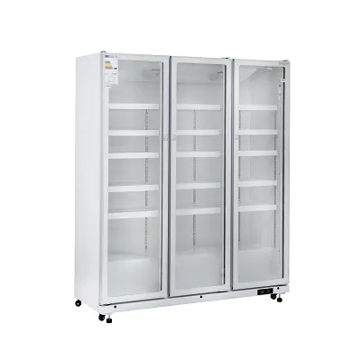 Холодильный шкаф J IVGC-3D-6020W W